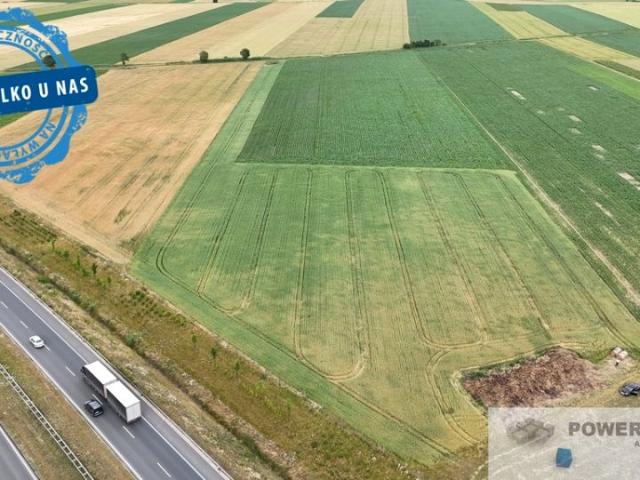 Grunt na sprzedaż w Święciechowa, Wielkopolskie