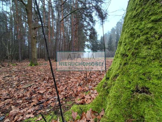 Grunt na sprzedaż w Nadarzyn, Mazowieckie