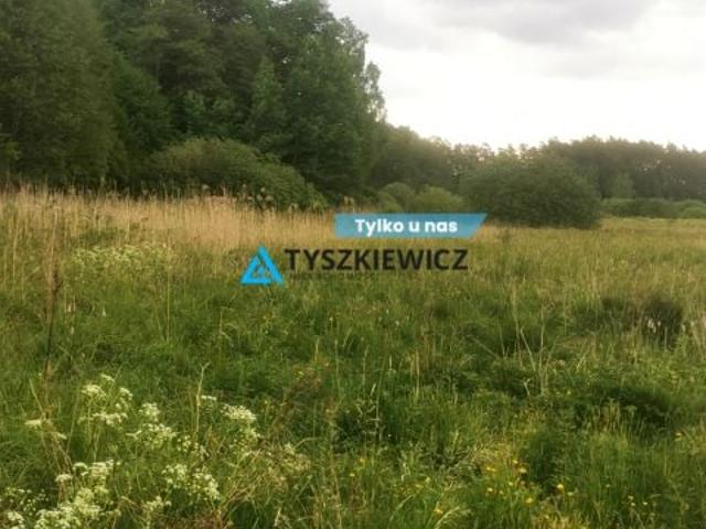 Grunt na sprzedaż w Osieczna, Pomorskie
