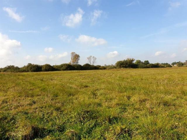 Grunt na sprzedaż w Piaski, powiat piotrkowski