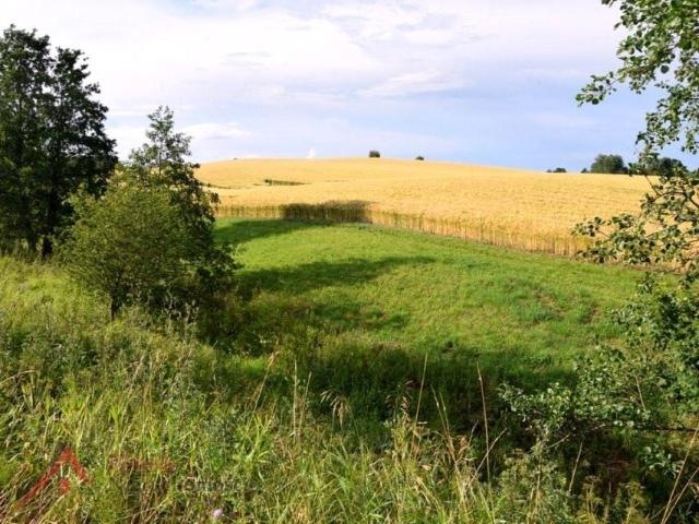 Grunt na sprzedaż w Budry, Warmińsko-mazurskie