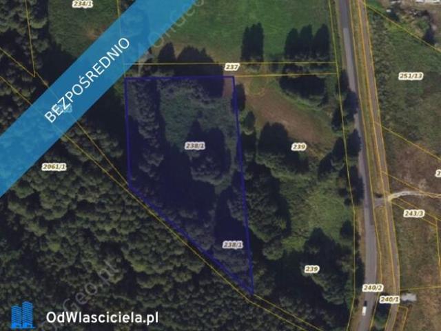 Grunt na sprzedaż w Wielka Nieszawka, Kujawsko-pomorskie