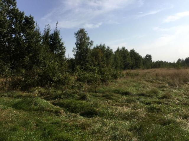 Grunt na sprzedaż w Klembów, Mazowieckie