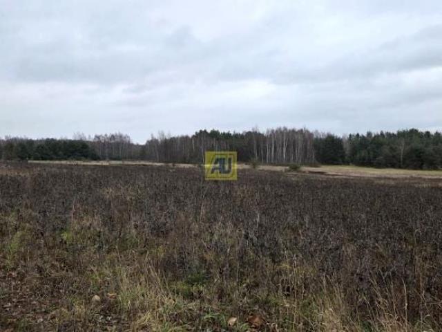 Grunt na sprzedaż w Ryki, Lubelskie