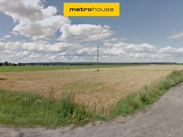 Grunt na sprzedaż w Borkowice, Wielkopolskie