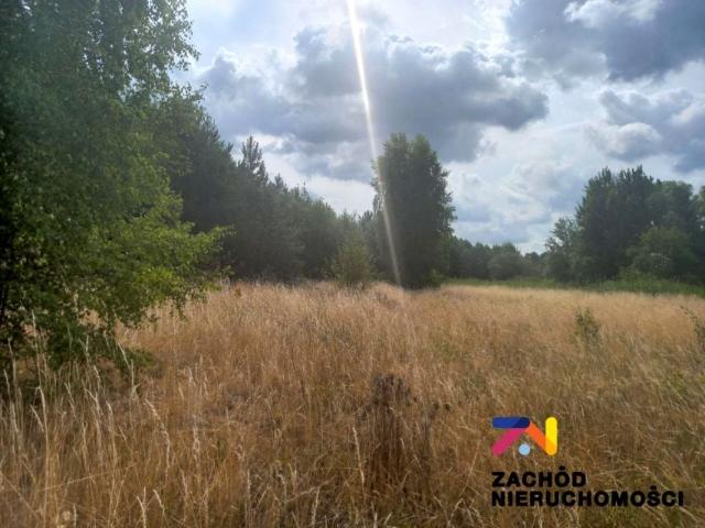 Grunt na sprzedaż w Świdnica, Lubuskie