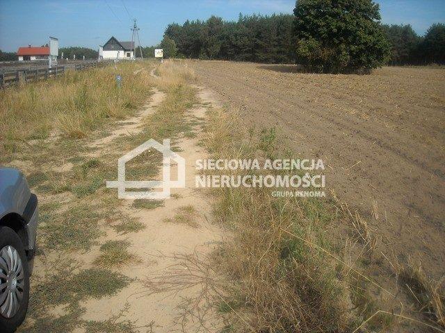 Grunt na sprzedaż w Cekcyn, Kujawsko-pomorskie