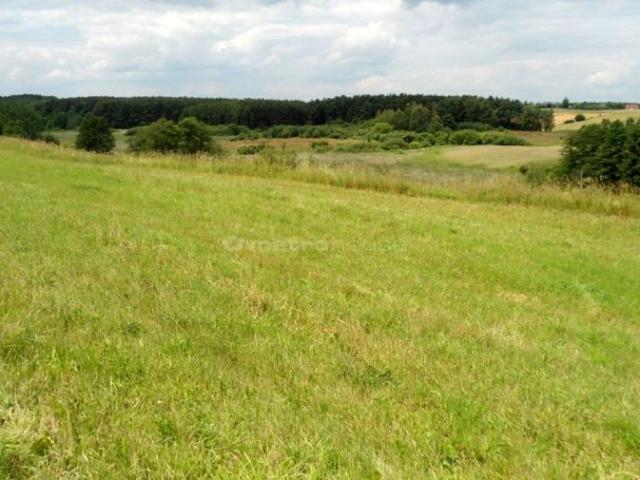 Grunt na sprzedaż w Jankowo, Wielkopolskie
