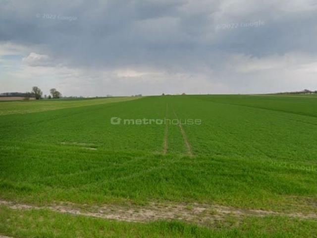Grunt na sprzedaż w Kuślin, Wielkopolskie