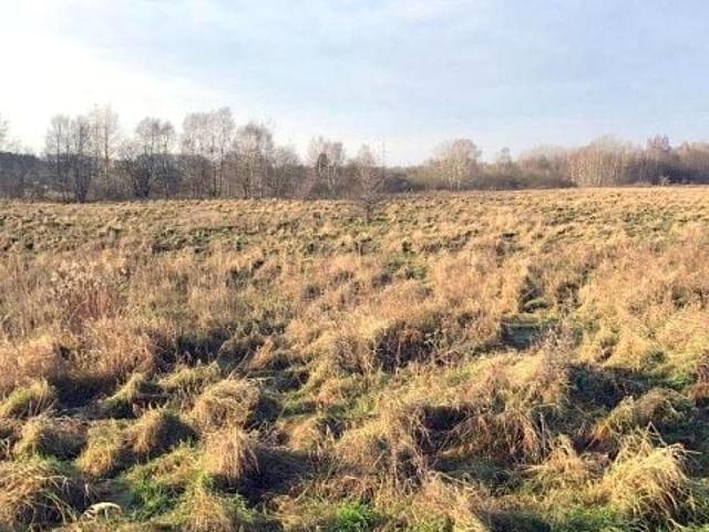 Grunt na sprzedaż w Świerzno, Zachodniopomorskie