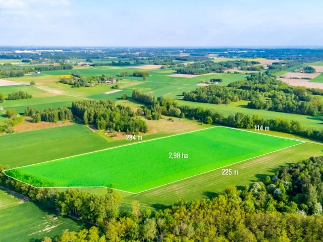 Grunt na sprzedaż w Kampinos, Mazowieckie