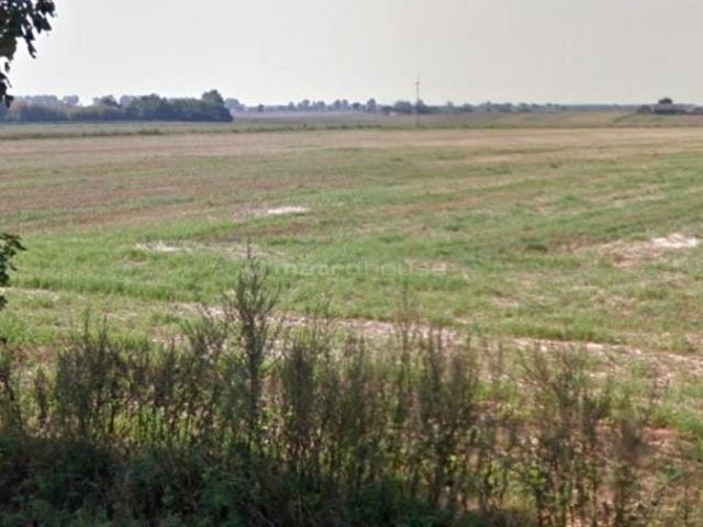 Grunt na sprzedaż w Owińska, Wielkopolskie