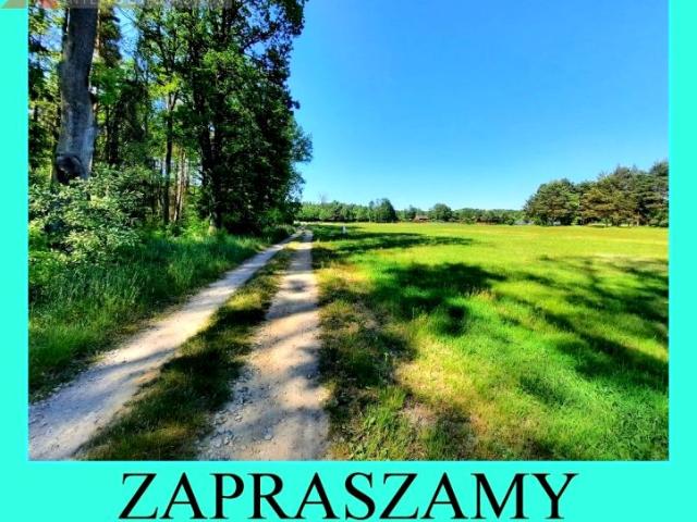 Grunt na sprzedaż w Dobroszyce, Dolnośląskie
