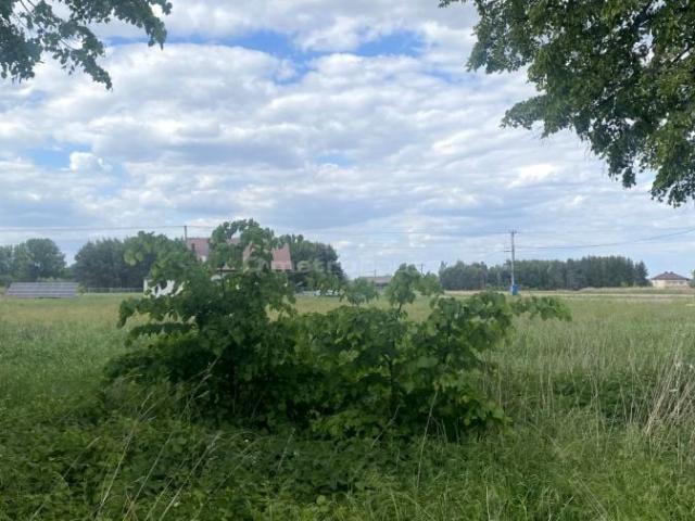 Grunt na sprzedaż w Nieborów, Łódzkie