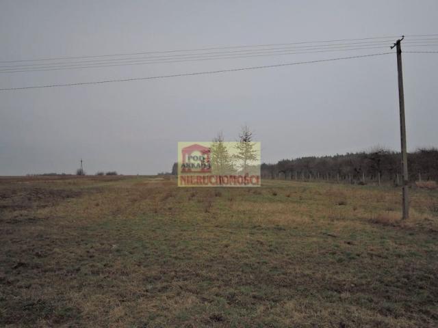 Grunt na sprzedaż w Pniewy, Mazowieckie