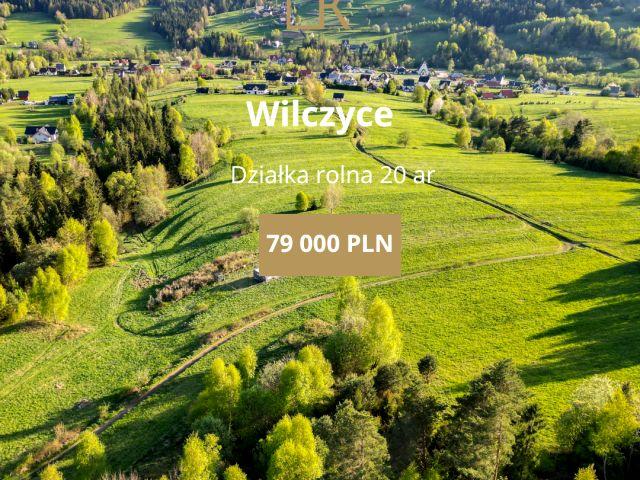 Grunt na sprzedaż w Wilczyce, Małopolskie