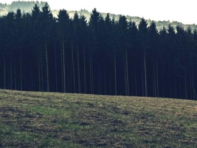 Grunt na sprzedaż w Bielsko-biała, Śląskie