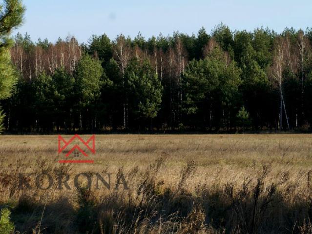 Grunt na sprzedaż w Izabelin, Podlaskie