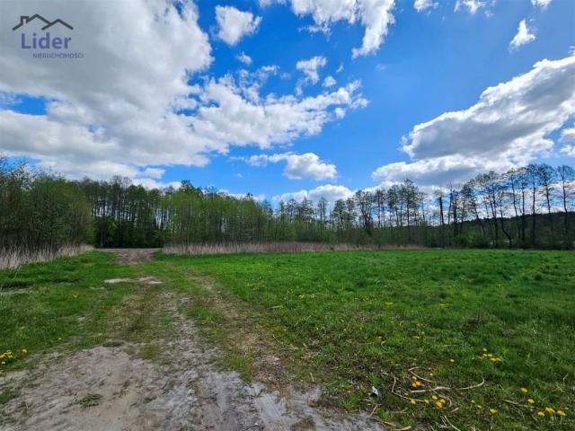 Grunt na sprzedaż w Wielka Nieszawka, Kujawsko-pomorskie