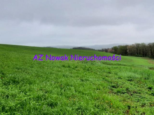 Grunt na sprzedaż w Stare Bogaczowice, Dolnośląskie