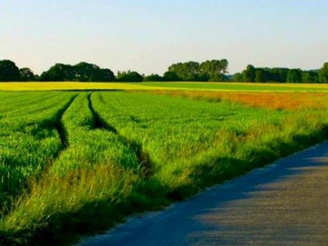 Grunt na sprzedaż w Tychy, Śląskie