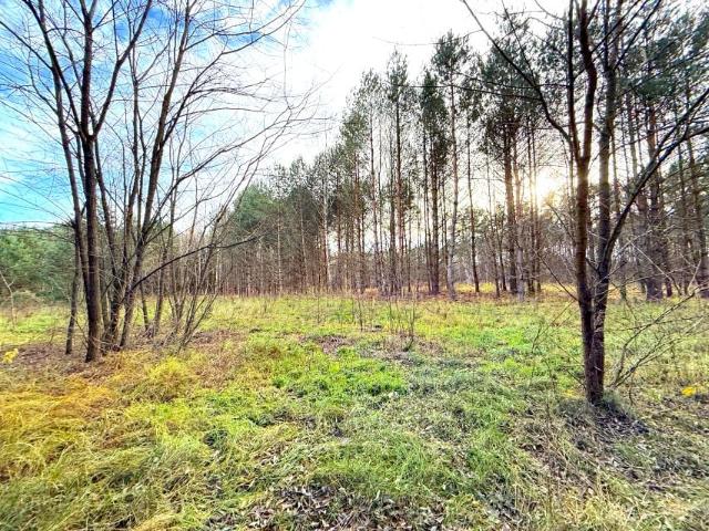 Grunt na sprzedaż w Straduń, Wielkopolskie