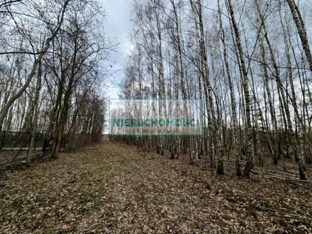 Grunt na sprzedaż w Słubica B, powiat grodziski