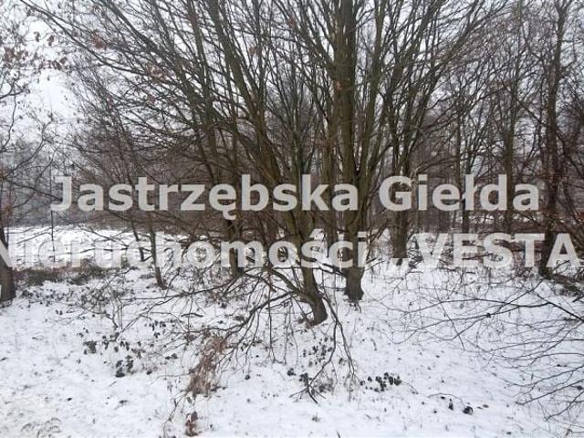Grunt na sprzedaż w Mszana, Śląskie
