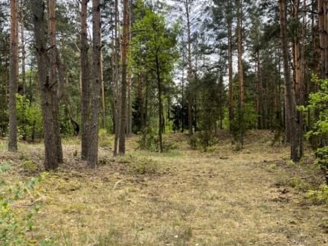 Grunt na sprzedaż w Radzymin, powiat wołomiński