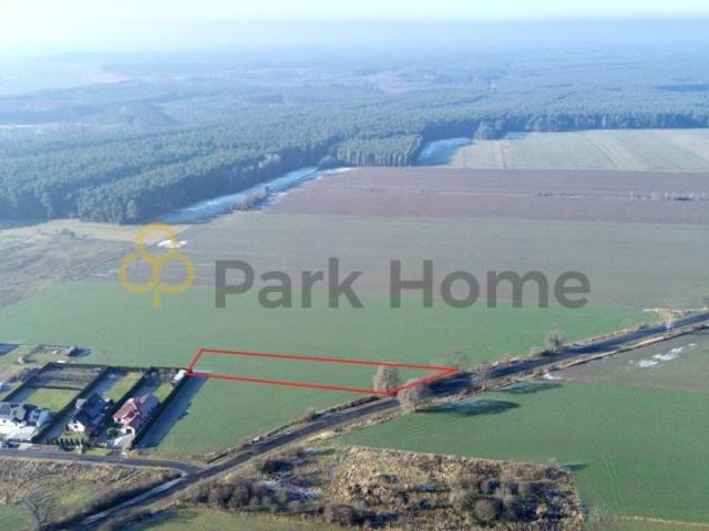 Grunt na sprzedaż w Kotla, Dolnośląskie