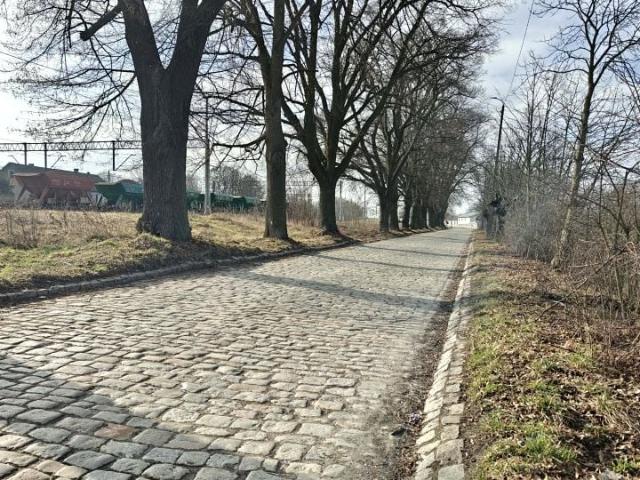 Grunt na sprzedaż w Bytom Odrzański, powiat nowosolski