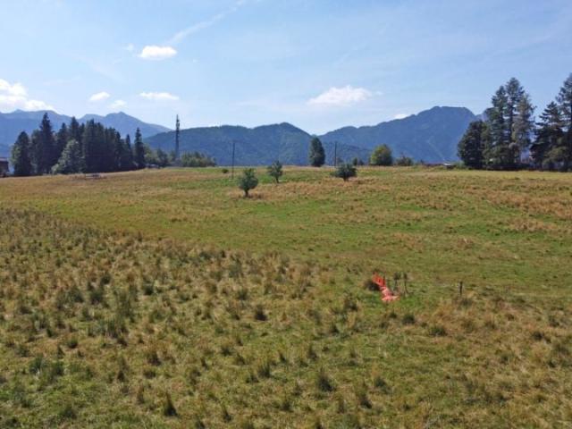 Grunt na sprzedaż w Zakopane, Małopolskie