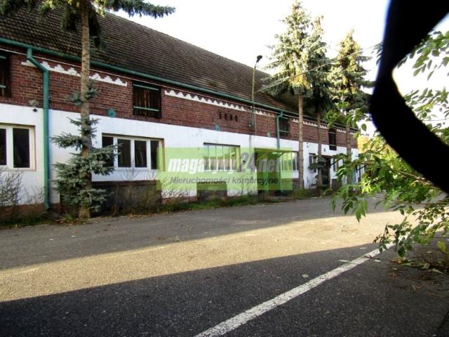 Grunt na sprzedaż w Cybinka, Lubuskie