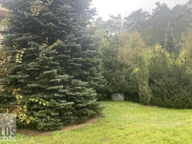 Grunt na sprzedaż w Zakamycze, Czernichów