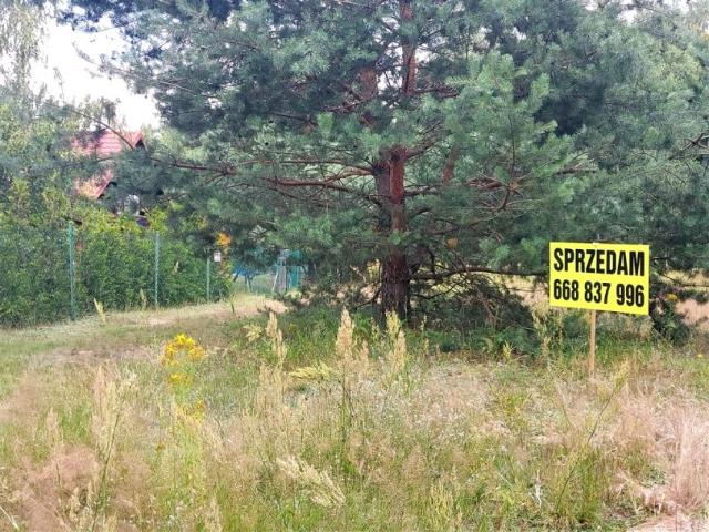 Grunt na sprzedaż w Chodecz, Kujawsko-pomorskie