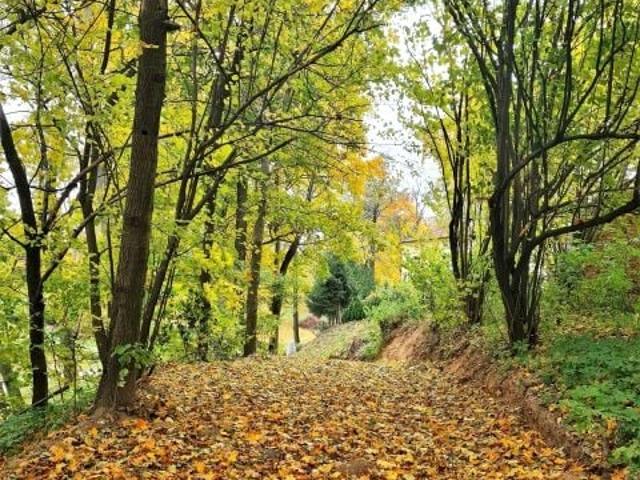 Grunt na sprzedaż w Wojciechów, Lubelskie