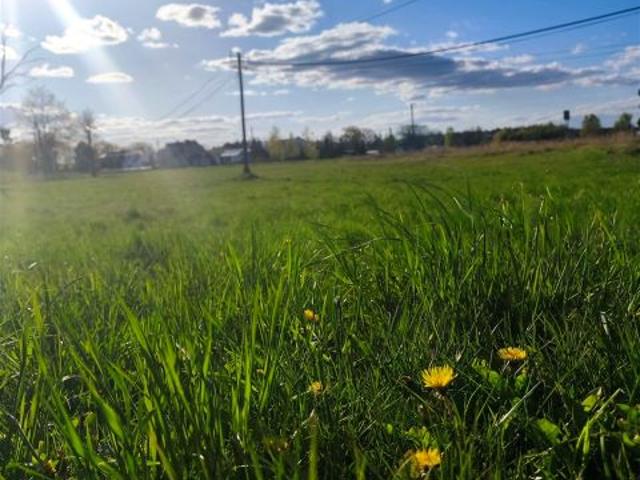 Grunt na sprzedaż w Dobrodzień, Opolskie