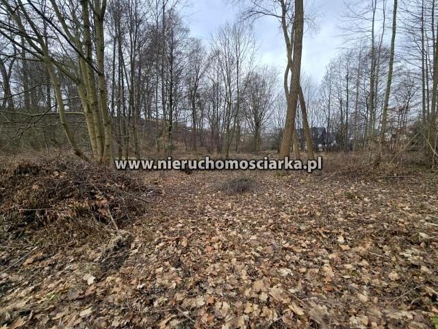 Grunt na sprzedaż w Wodzisław Śląski, Śląskie