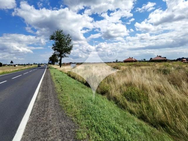 Grunt na sprzedaż w Kunice, Dolnośląskie