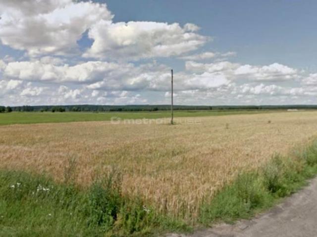 Grunt na sprzedaż w Borkowice, Wielkopolskie