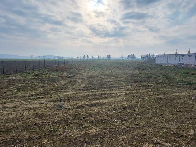 Grunt na sprzedaż w Mściwojów, Dolnośląskie