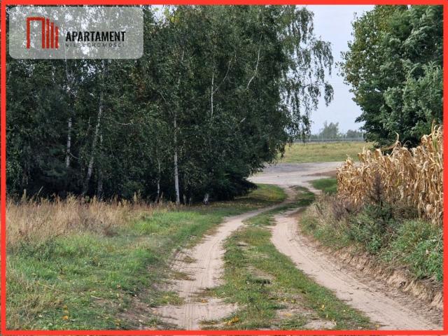 Grunt na sprzedaż w Rogowo, Kujawsko-pomorskie