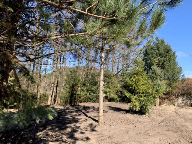 Grunt na sprzedaż w Rumia, Pomorskie