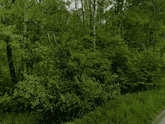 Grunt na sprzedaż w Łazy, Śląskie