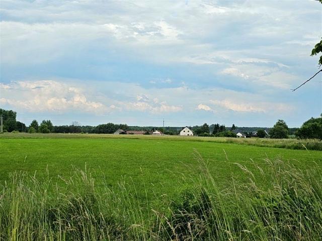 Grunt na sprzedaż w Szczedrzyk, Opolskie