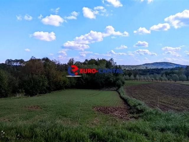 Grunt na sprzedaż w Witanowice, Małopolskie