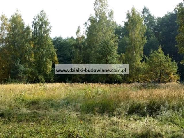 Grunt na sprzedaż w Strzegomiany, Dolnośląskie