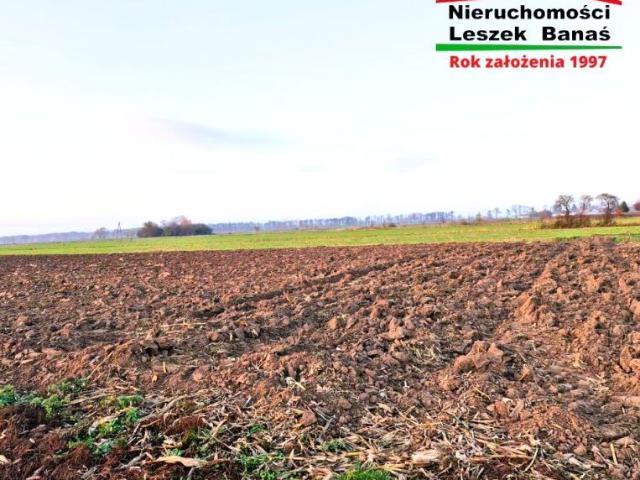 Grunt na sprzedaż w Dragacz, Kujawsko-pomorskie