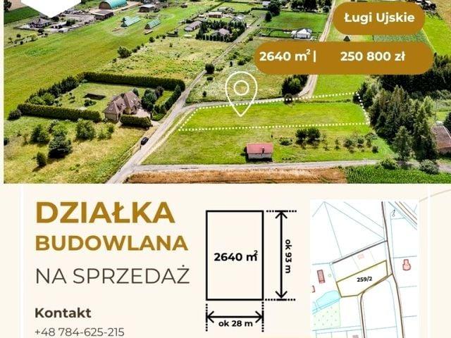 Grunt na sprzedaż w Ługi Ujskie, Wielkopolskie