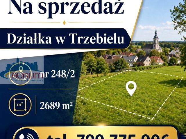 Grunt na sprzedaż w Trzebiel, Lubuskie